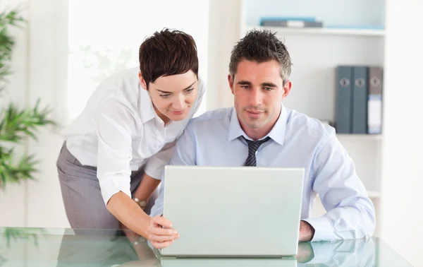 Coworkers using a laptop — Stock Photo, Image