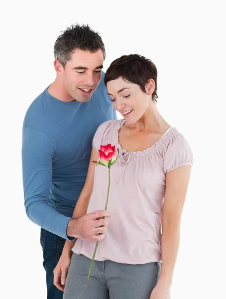 将一朵玫瑰提供给他的妻子的丈夫 — 图库照片