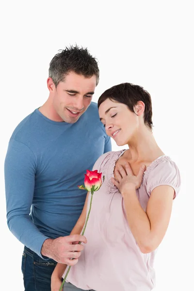Муж предлагает розу своей счастливой жене — стоковое фото