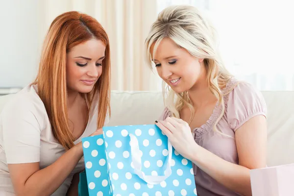 Jovens mulheres encantadoras com sacos de compras — Fotografia de Stock