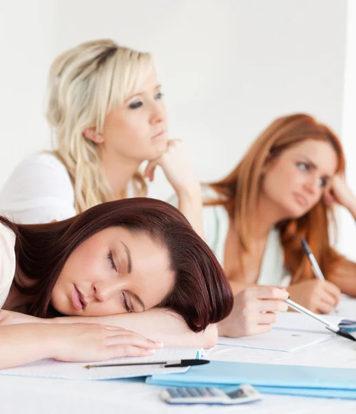 stock image Students one sleeping sitting at a table