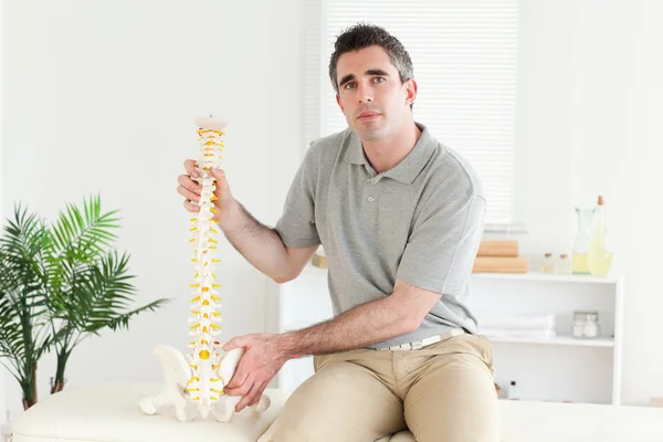 Chiropractor holding the model of a spine — Stock Photo, Image