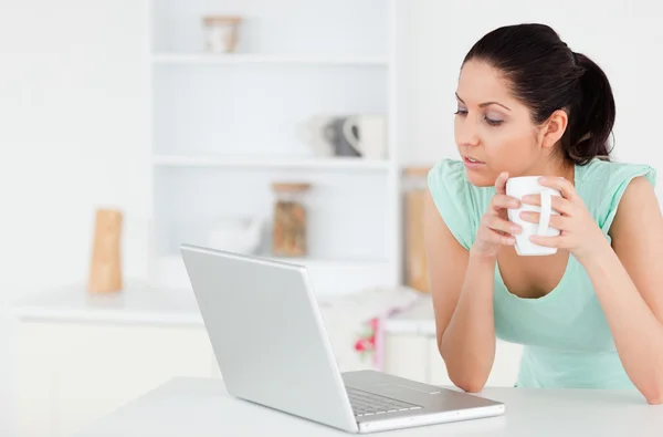Lovely young woman looking to screen of laptop — Stock Photo, Image
