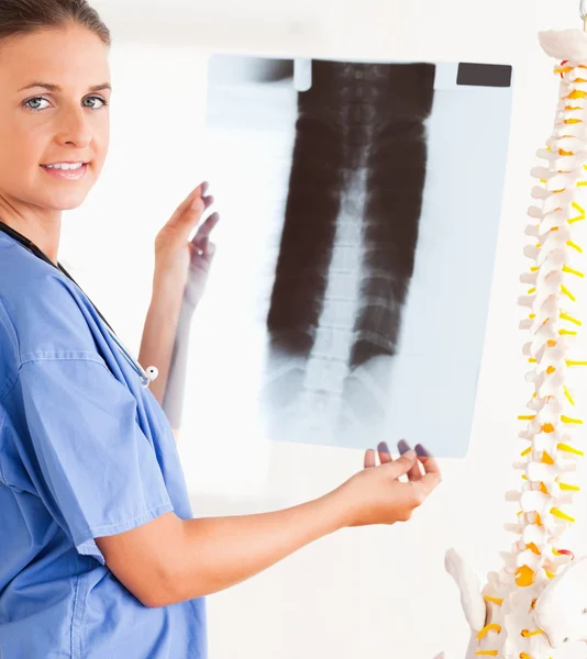 Lächelnder Arzt mit Stethoskop und Röntgenbild Stockfoto