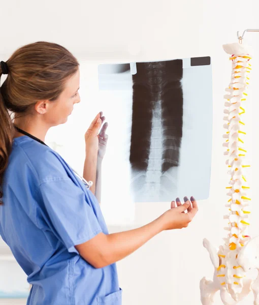 Strahlend lächelnder Arzt mit Stethoskop und Röntgenbild Stockbild