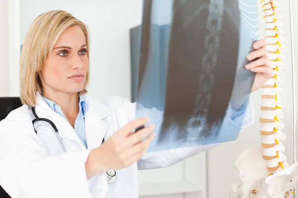 Seriöser Arzt schaut sich Röntgenbild an Stockbild