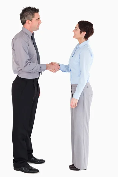 Managers shaking hands — Stock Photo, Image