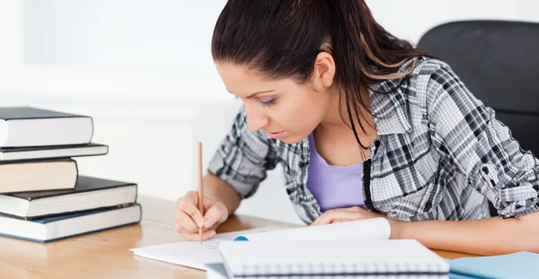 Young student learning — Stock Photo, Image