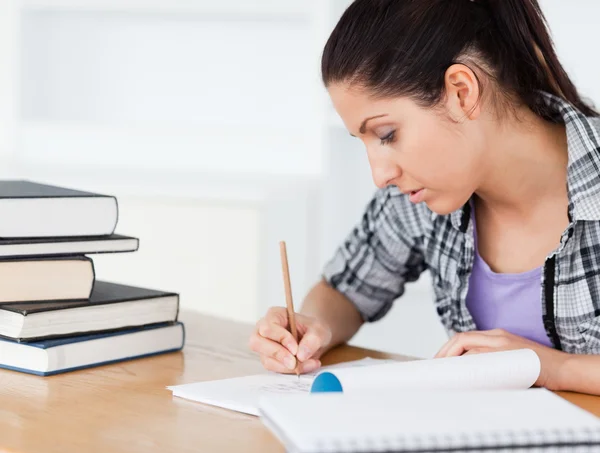 A young student is doing her homework Stock Image