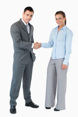 Business partner greeting each other against a white background clipart