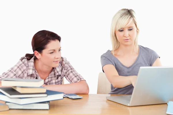 Gorgeous females learning at table — Stock Photo, Image