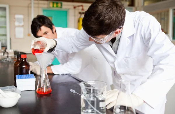 Students making an experiment — Stock Photo, Image
