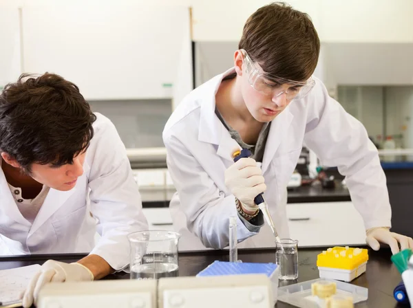 Chemistry students making an experiment — Stock Photo, Image