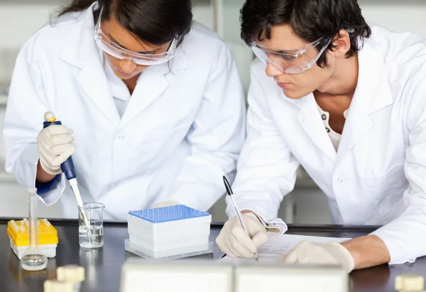 Scientists making an experiment — Stock Photo, Image