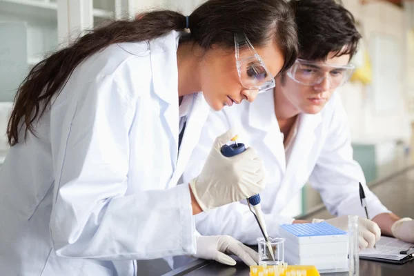 Serious science students making an experiment — Stock Photo, Image