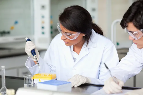 Serious scientists working — Stock Photo, Image
