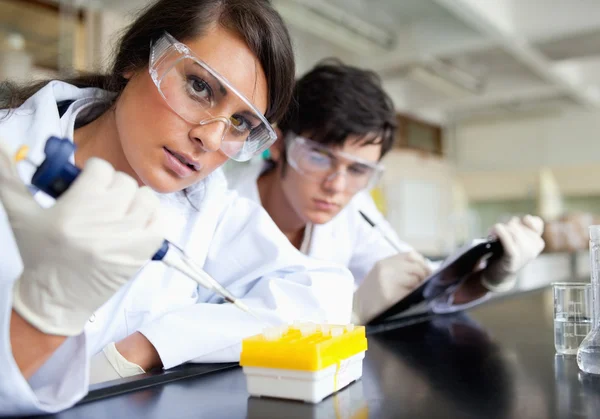 Jovens cientistas focados que trabalham — Fotografia de Stock