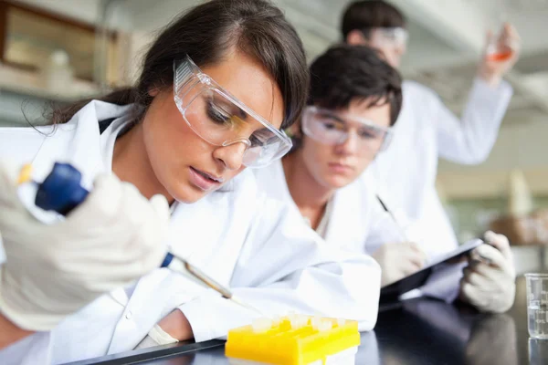 Três cientistas a trabalhar — Fotografia de Stock