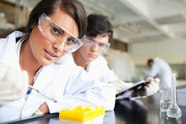 Two scientists making an experiment — Stock Photo, Image