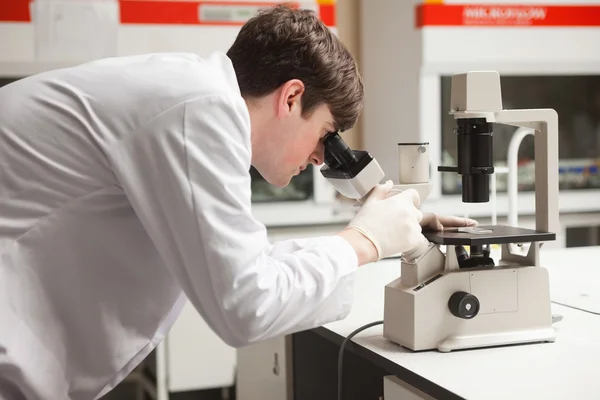 Jovem estudante de ciências olhando em um microscópio — Fotografia de Stock