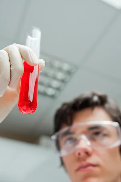 Portrait of a scientist looking at a test tube — Stock Photo, Image