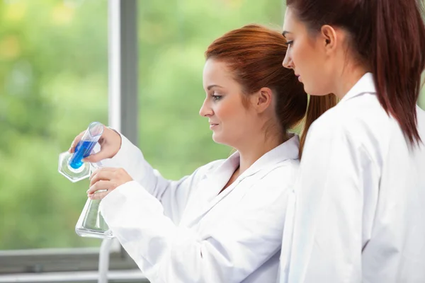Young scientists pouring liquid in an Erlenmeyer flask — Stock Photo, Image