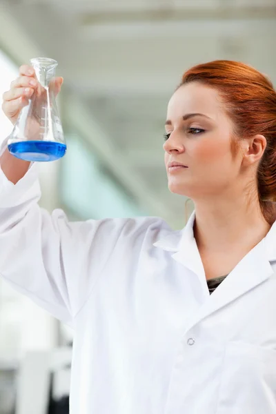 Портрет ученого, смотрящего на голубую жидкость — стоковое фото