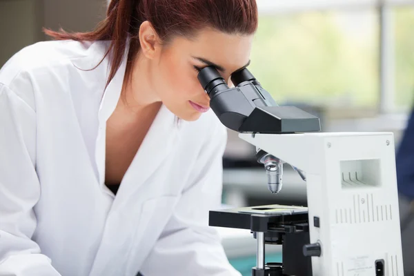 Scientist looking into a microscope — Stock Photo, Image