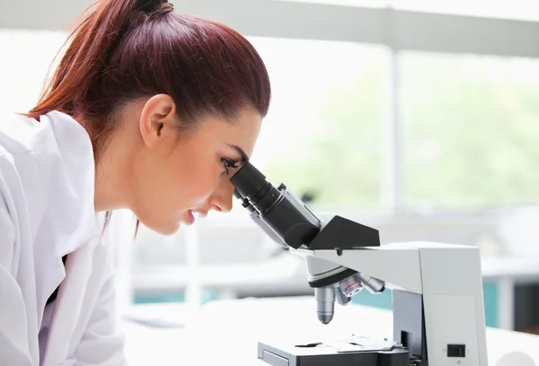 Morena mirando en un microscopio — Foto de Stock