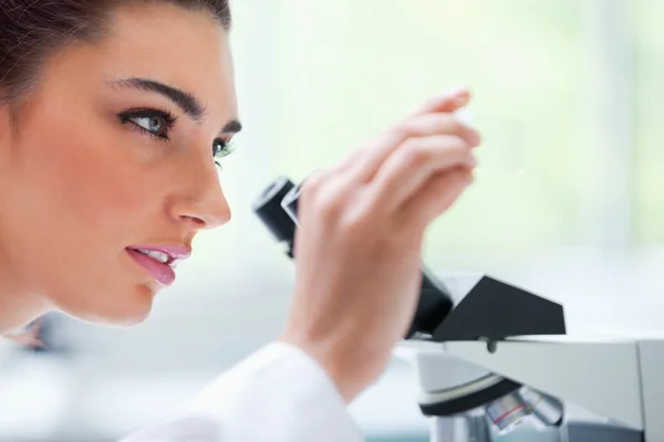Молодая женщина смотрит на слайд микроскопа — стоковое фото