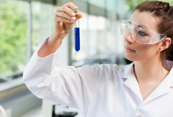 Naturwissenschaftsstudent blickt in Reagenzglas — Stockfoto