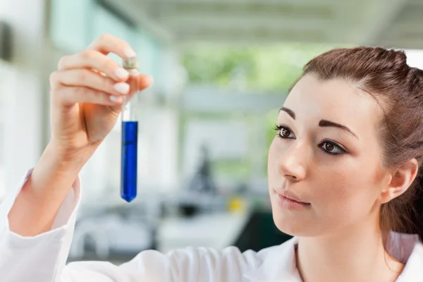 Student looking at a test tube — Stock Photo, Image