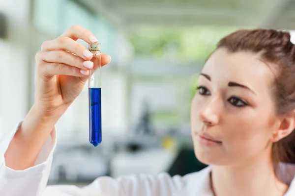 Young student looking at a test tube — Stock Photo, Image