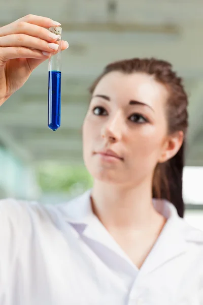 Portrait of a student looking at a test tube — Stock Photo, Image