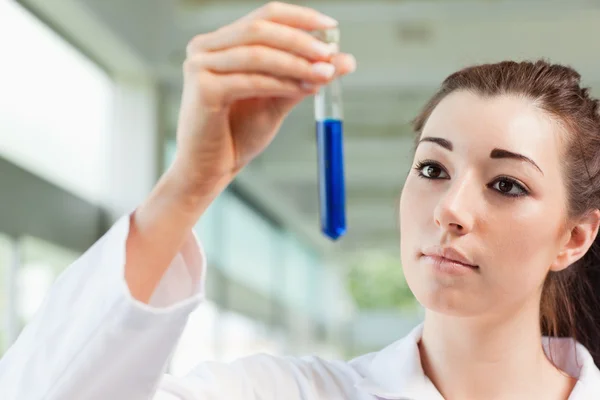 Cute student looking at a test tube — Stock Photo, Image