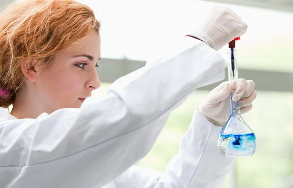 Estudante de ciências colocando gotas azuis em um líquido — Fotografia de Stock