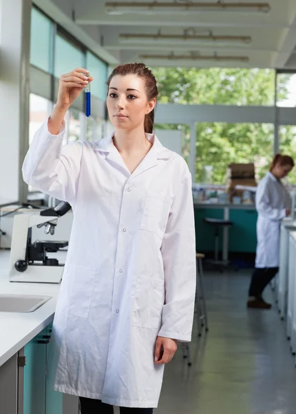 Portrait of a beautiful scientist looking at a test tube — Stock Photo, Image