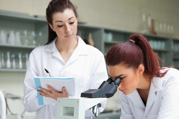 Студентка смотрит в микроскоп, пока ее одноклассница забирает — стоковое фото