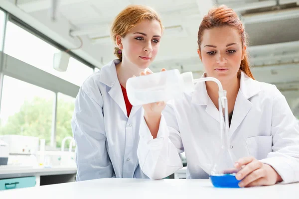 Scientists doing an experiment — Stock Photo, Image