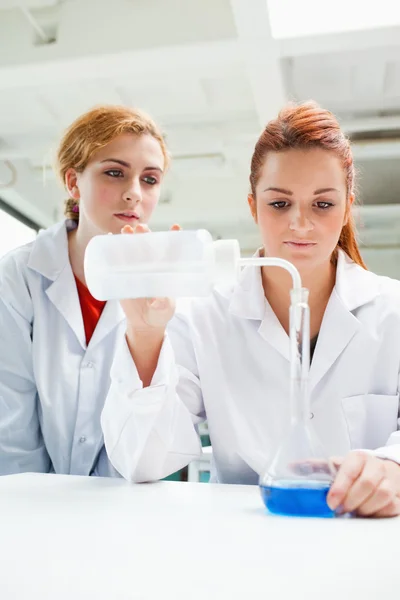 Portrait of scientists doing an experiment — Stock Photo, Image