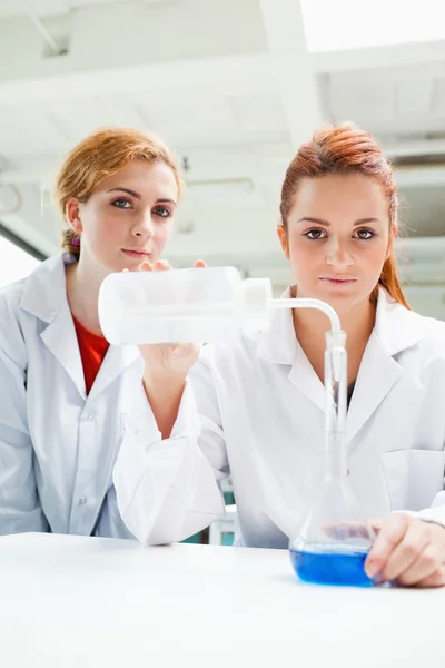 Portrait of cute scientists doing an experiment — Stock Photo, Image