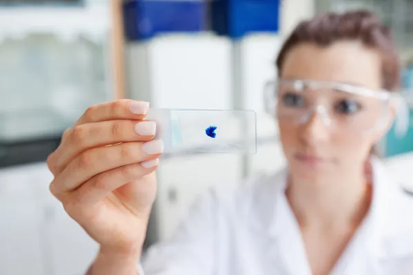 Scientist looking at a microscope slide — Stock Photo, Image