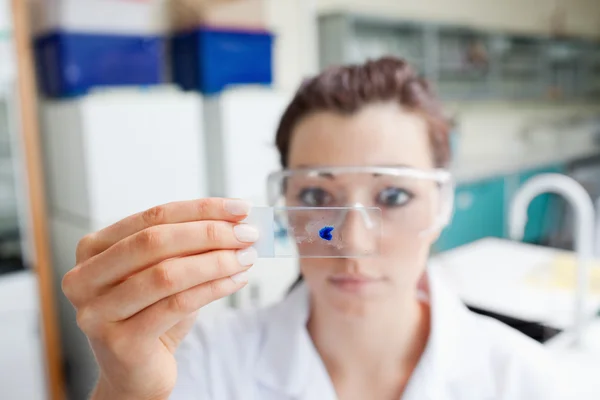 Science student looking at a microscope slide — Stock Photo, Image