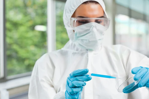 Estudante de ciências feminina protegida deixando cair líquido azul em um Petri — Fotografia de Stock