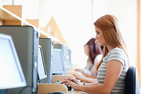 Seriöser Student arbeitet mit einem Computer — Stockfoto