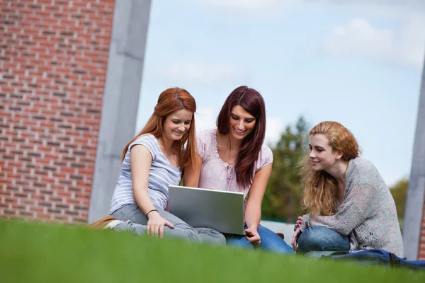 Unga kvinnor använder en bärbar dator — Stockfoto