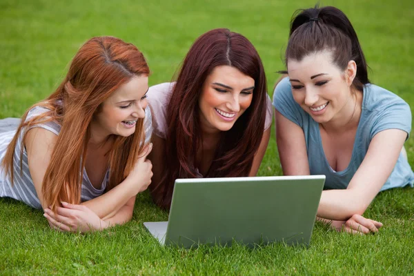 Smiling women using a notebook — Stock Photo, Image