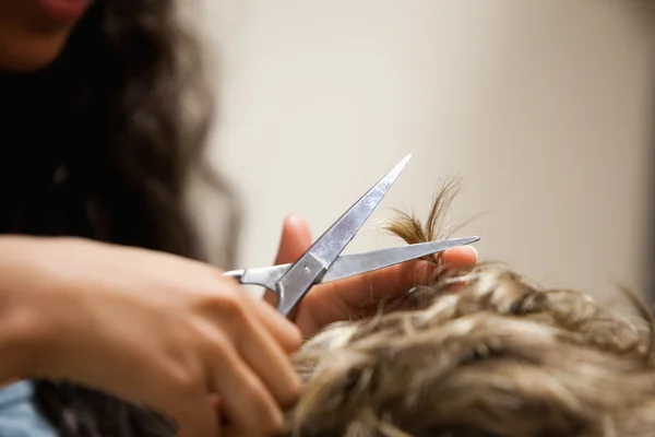 Закрытие женских рук, стригущих волосы — стоковое фото