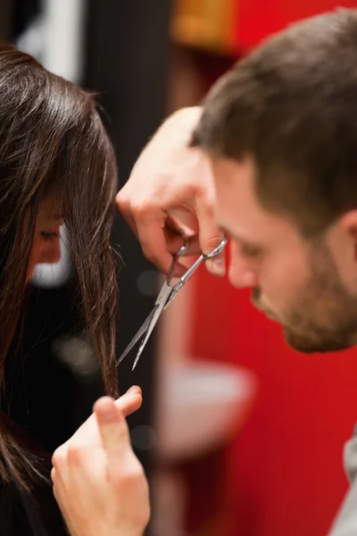 Retrato de un peluquero masculino cortando el pelo — Foto de Stock