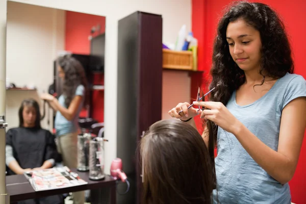 Female hairdresser cutting hair — Stock Photo, Image